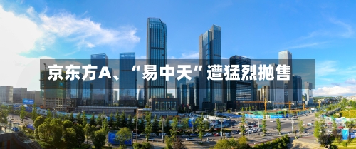 京东方A、“易中天”遭猛烈抛售-第3张图片