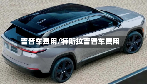 吉普车费用/特斯拉吉普车费用