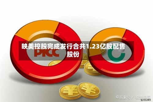 映美控股完成发行合共1.23亿股配售股份