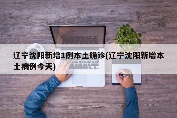 辽宁沈阳新增1例本土确诊(辽宁沈阳新增本土病例今天)
