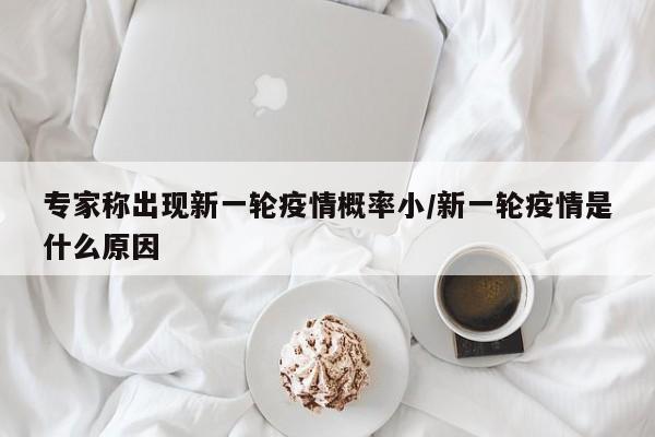 专家称出现新一轮疫情概率小/新一轮疫情是什么原因